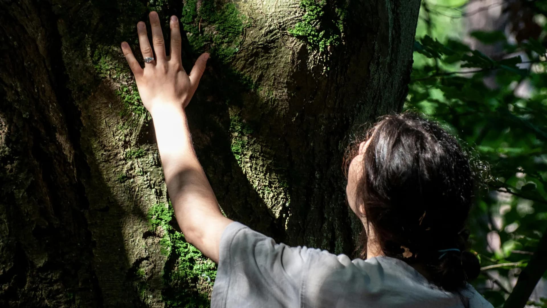 A person reaching toward green leaves — aspirational vitality