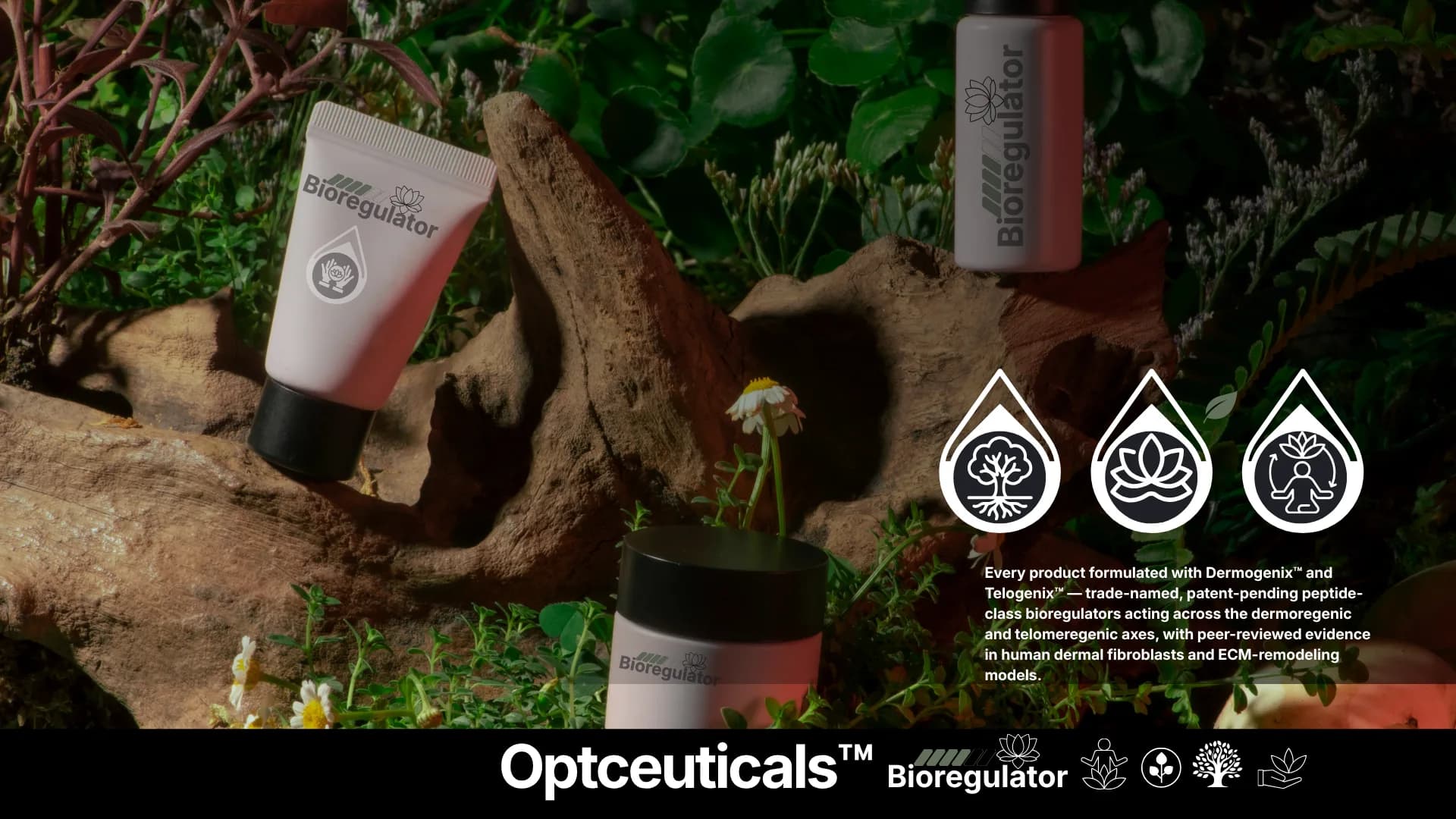 Botanical supplements with fresh greens — the network of qualified producers