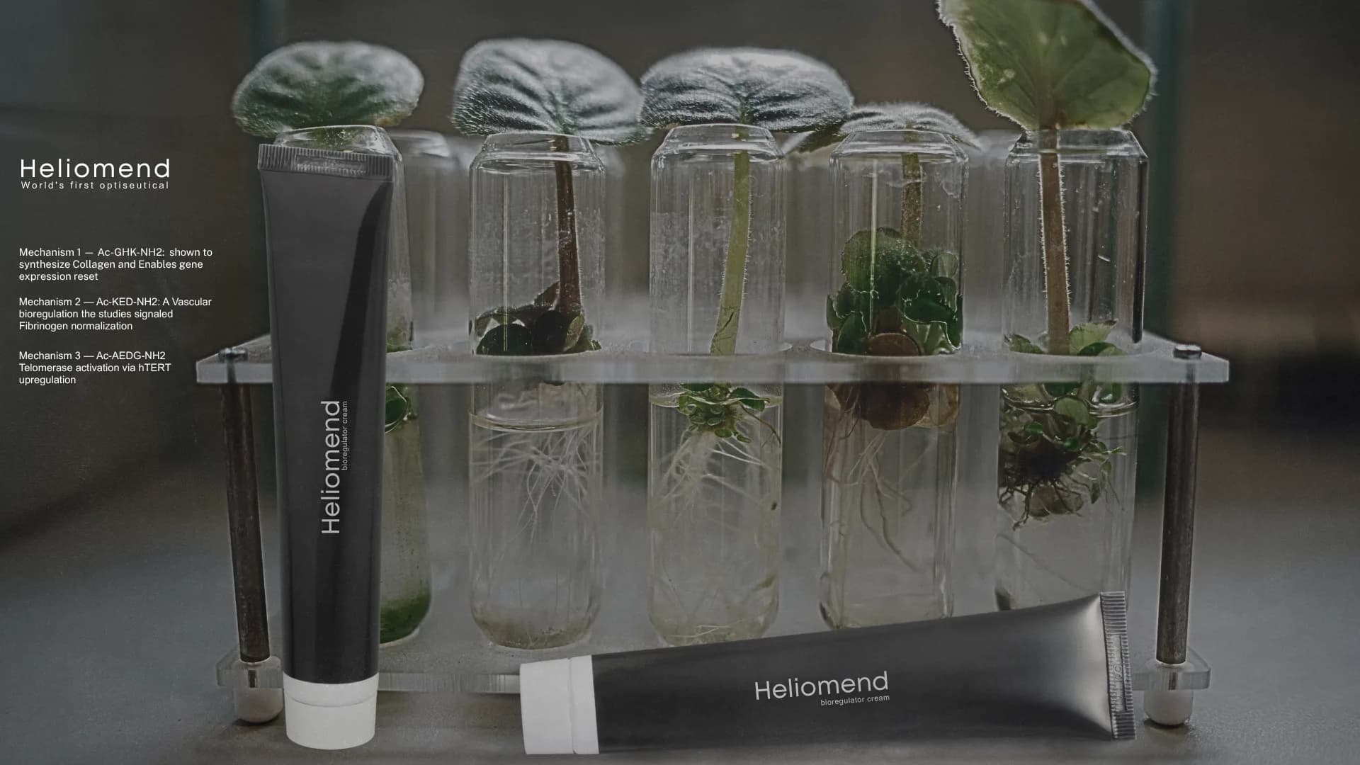 HelioMend™ — A multi-axis product line combining trade-named peptide-class bioregulators acro