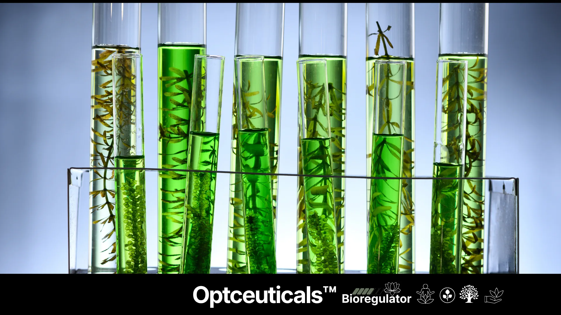 Opticeuticals category — institutional structure